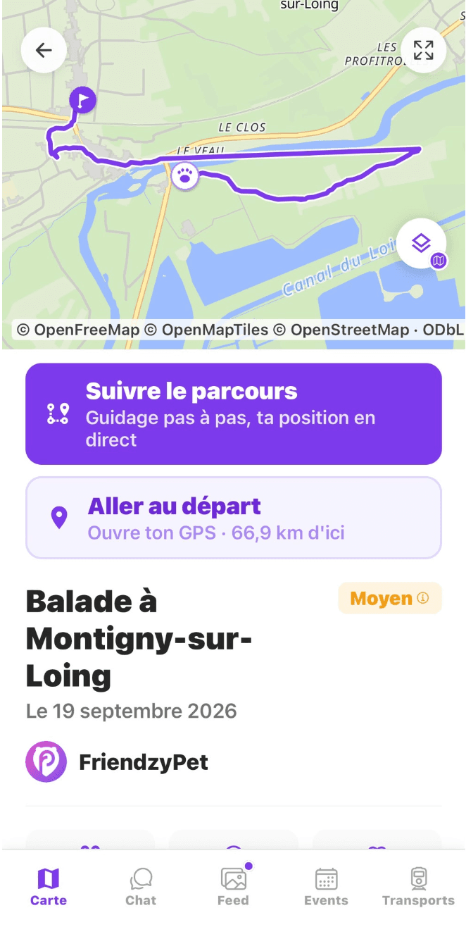 Balade à Montigny-sur-Loing : tracé sur la carte et guidage pas à pas