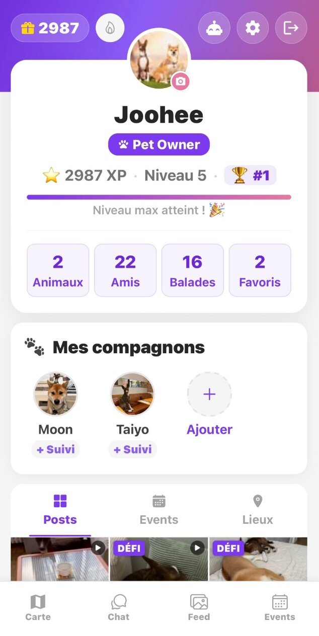Profil & amis